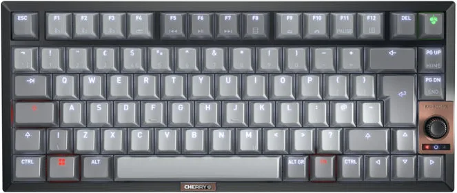 Cherry G80-3961HHAGB-2 Tastiera USB e Wireless QWERTY Inglese (Grigio - Nero)