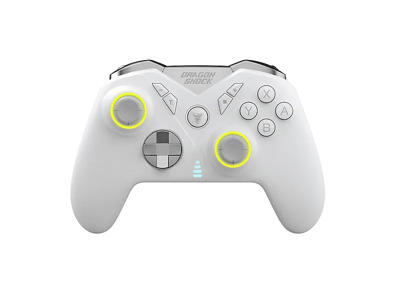 DragonShock DSCPNSW-BK Nebula Pro Controller Wireless Nintendo Switch Bluetooth 4 pulsanti posteriori Turbo colore Nero